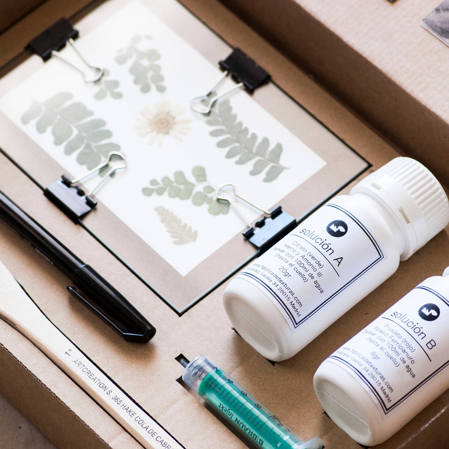 Cyanotype Kit